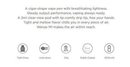 原廠正品 Geekvape Wenax M1 800mAh
